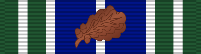 Army Achievement Medal ribbon, 2nd award · 1 bronze oak leaf cluster