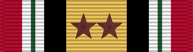 Iraq Campaign Medal ribbon, 2 campaign stars